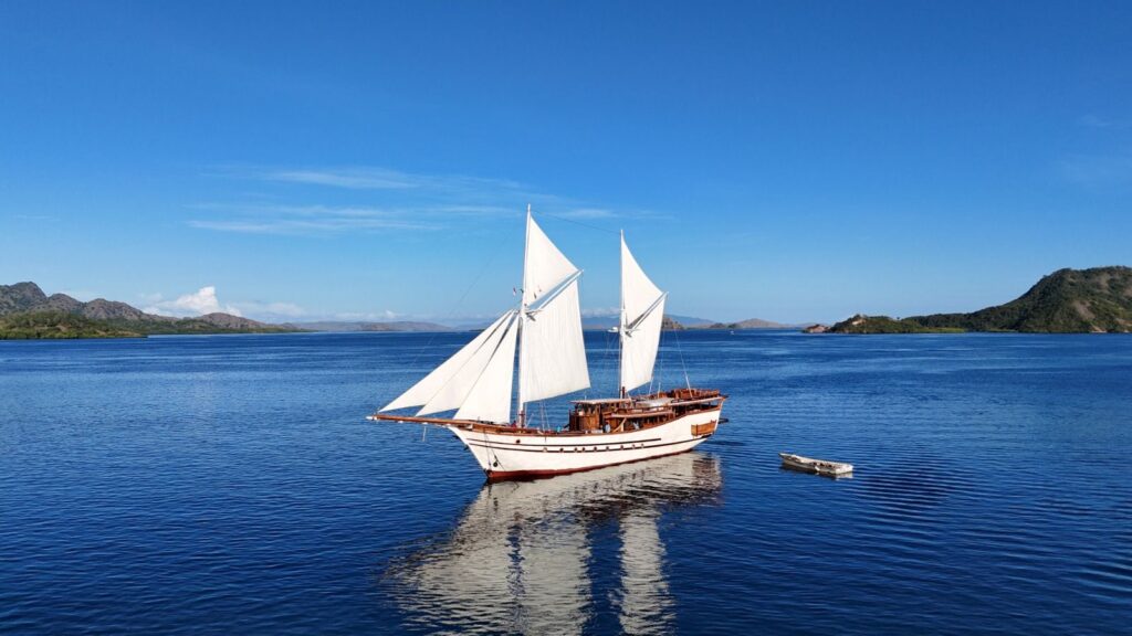 Liveaboard Diving 